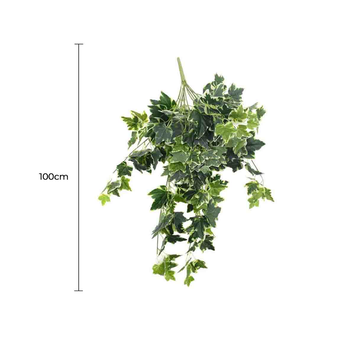 Artificial hanging ivy plant with dimensions on a white background