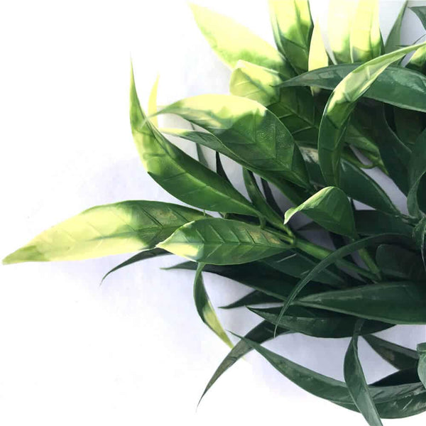White Tipped Willow Oak Stem UV Resistant 30cm — gallery image 7
