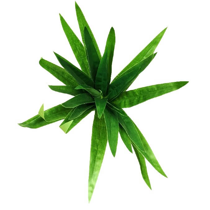 3 Pack - Aloe Vera Plant Stem 30cm - Designer Vertical Gardens artificial garden wall plants artificial green wall australia