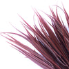 Load image into Gallery viewer, 5 Pack Dark Red Artificial Grass Stem 35cm Long UV Resistant (Indoor or Outdoor) - Designer Vertical Gardens artificial green wall sydney artificial vertical garden melbourne