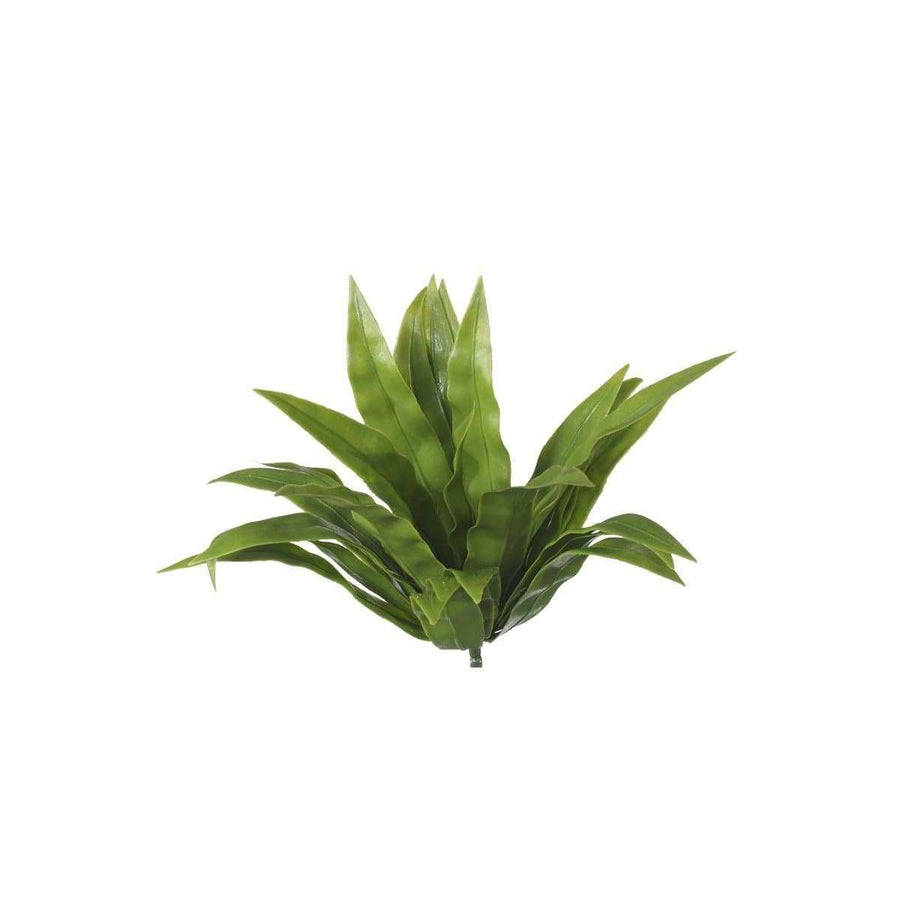 5 Pack - UV Aloe Vera Stem - 20cm