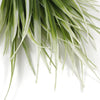 5 Pack - UV White Tipped Artificial Grass Stem - 35cm - Designer Vertical Gardens artificial garden wall plants artificial green wall australia