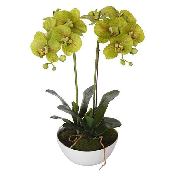 50cm Flowering Artificial Potted Orchid - Multi Stem - image 1