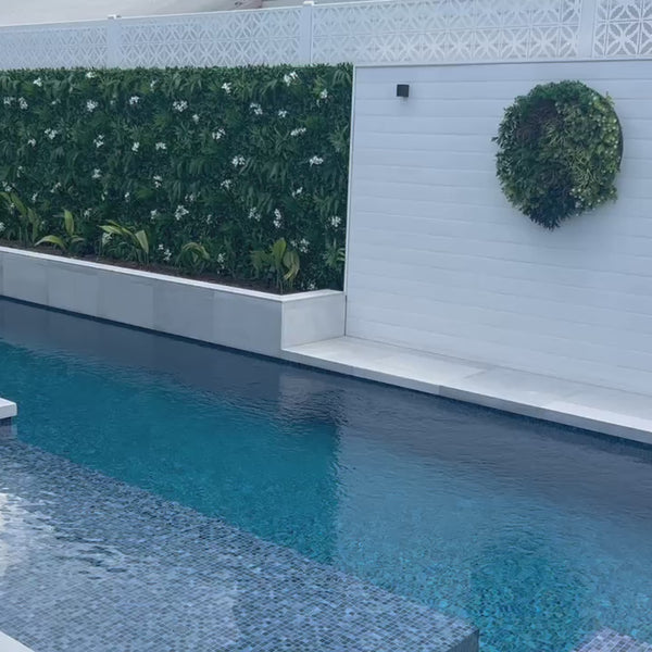 Luxury Flowering White Jasmine Vertical Garden Green Wall Panel 1m x 1m – SGS UV Resistant - video 19