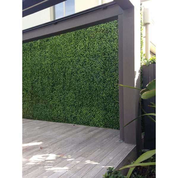 Light English Boxwood Hedge Panel 1m x 1m - UVTEX Certified UV Resistant - image 6