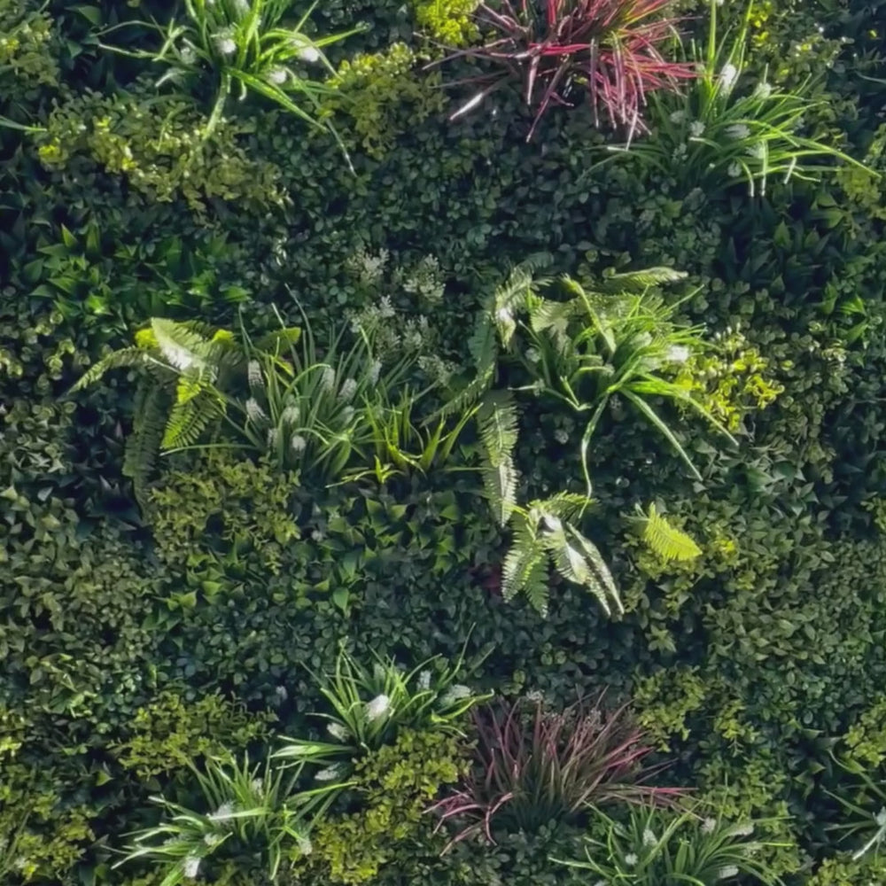 Luxury Lush Spring Vertical Garden Green Wall Panel 1m x 1m – SGS UV Resistant — video thumbnail
