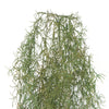 Load image into Gallery viewer, Artificial Air Plant Spanish Moss UV Resistant 100cm - Designer Vertical Gardens fake plant stem hanging fern