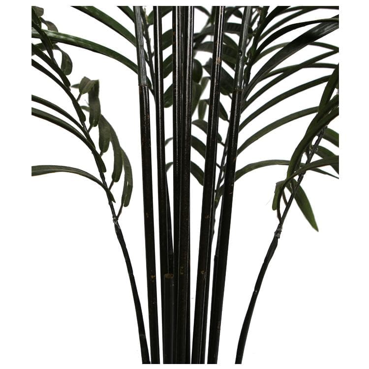 Artificial Areca Palm Black Trunks 190cm (2 Artificial Palm Set) - Designer Vertical Gardens artificial garden wall plants artificial green wall installation