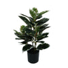 Artificial Bushy Dense Variegated Ficus Tree (Rubber Tree) 50cm