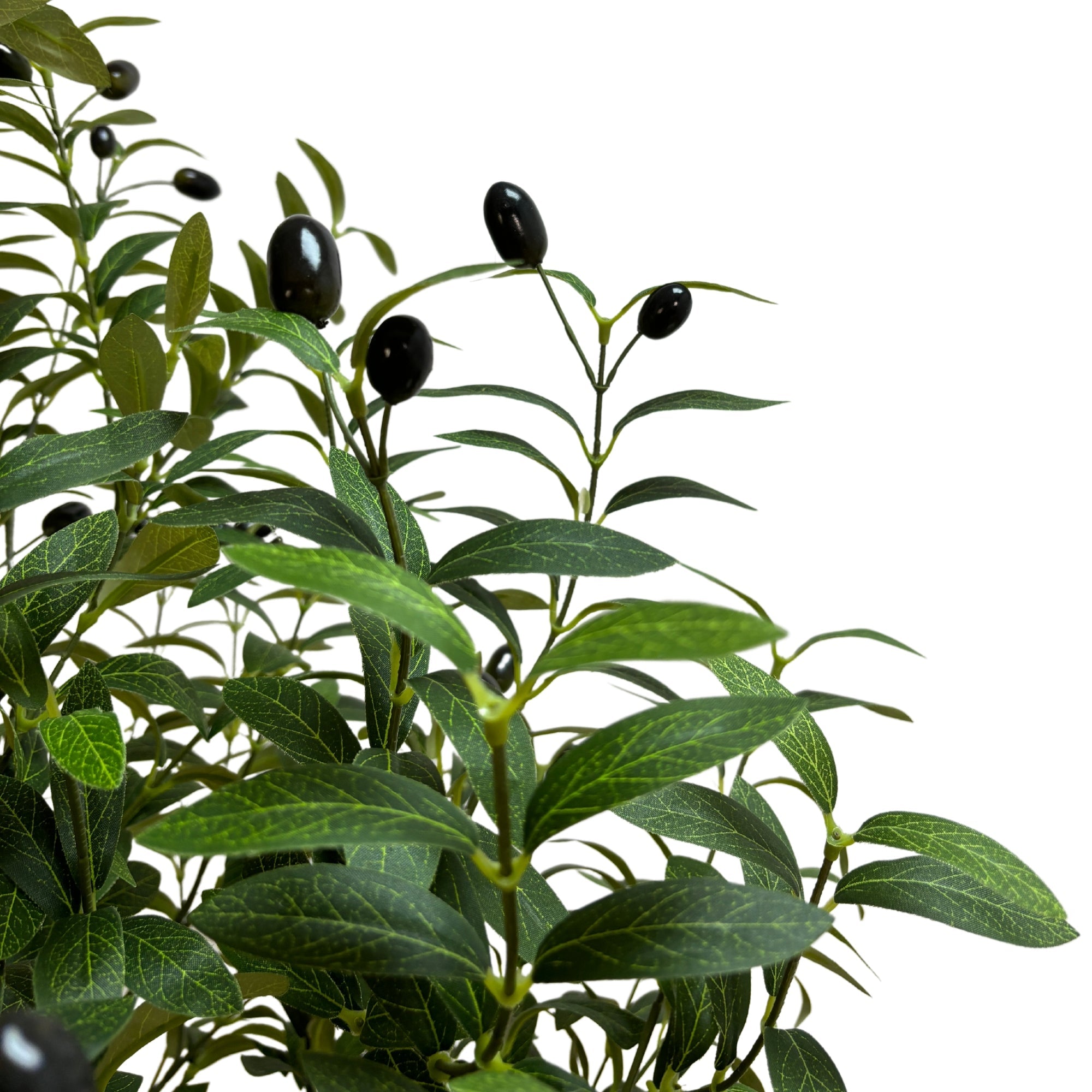 Artificial Bushy Olive Tree With Olives 180cm - Designer Vertical Gardens artificial garden wall plants artificial green wall australia