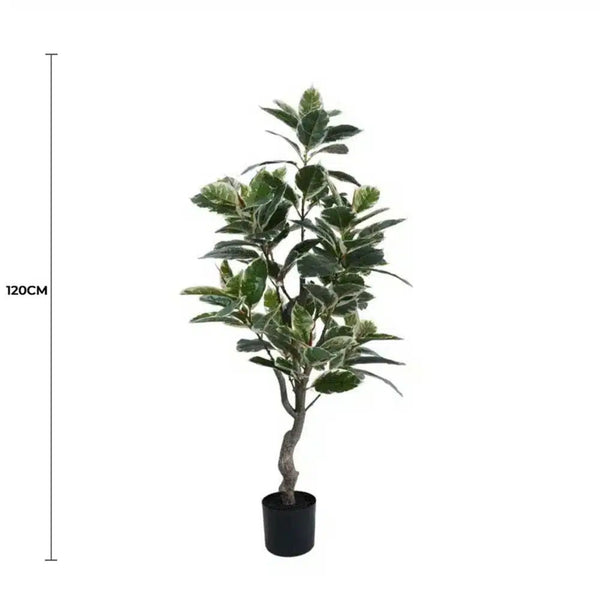 Artificial Bushy Variegated Ficus Tree (Rubber Tree) 120cm - image 2