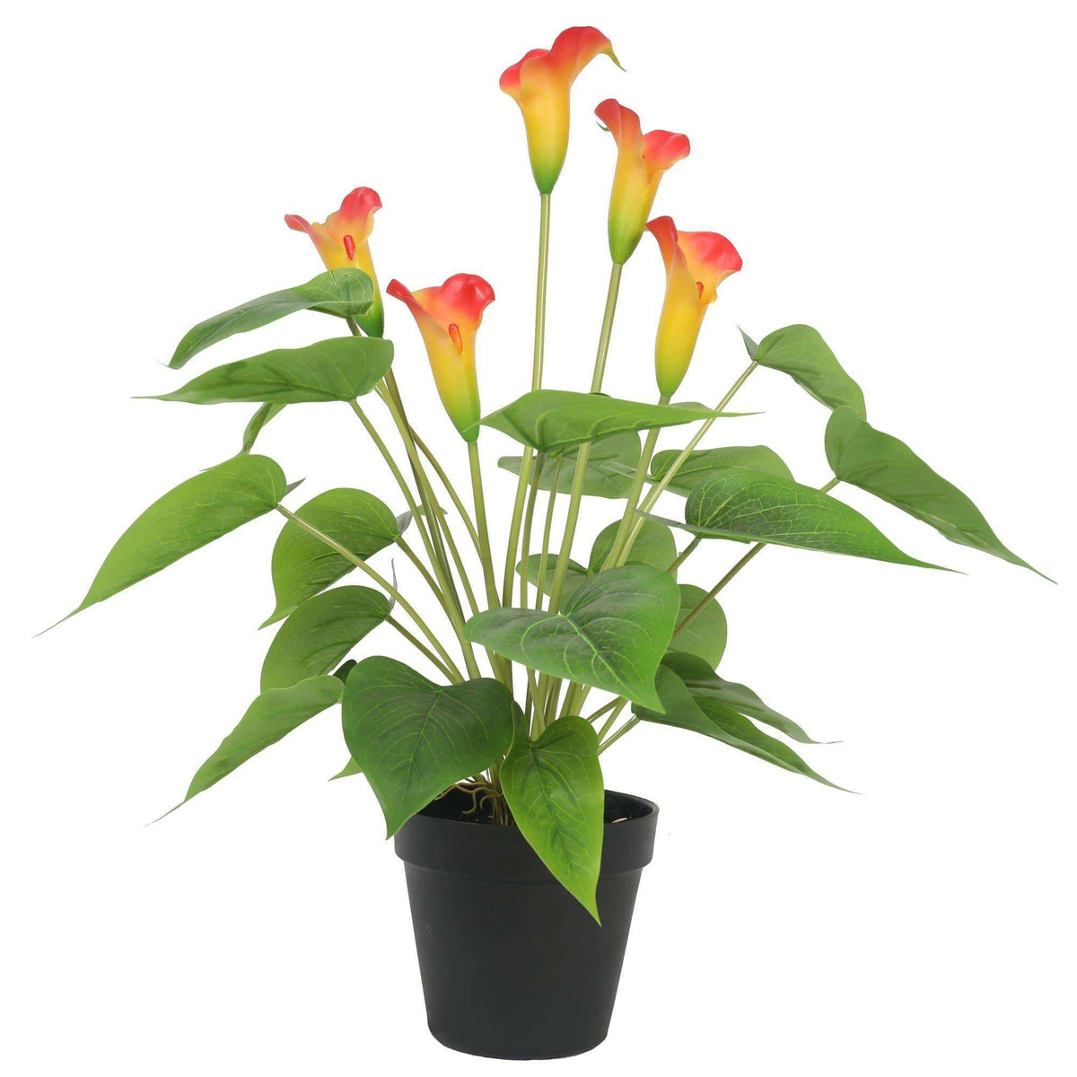 peace lily and calla lily Artificial Flowering White & Orange Peace Lily / Calla Lily Plant 50cm – Designer Vertical Gardens