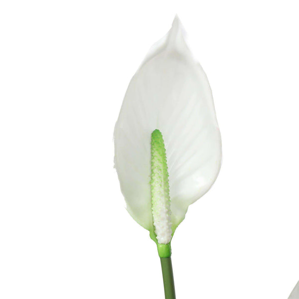 Artificial Flowering White Peace Lily / Calla Lily 95cm - image 3