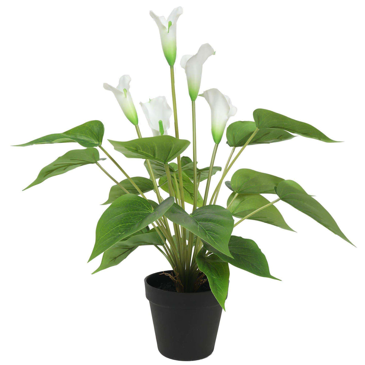 are peace lily and calla lily the same Artificial Flowering White Peace Lily / Calla Lily Plant 50cm – Designer Vertical Gardens