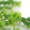 Artificial Hanging Bell Leaf Plant 80cm Long UV Resistant - Designer Vertical Gardens fake plant stem Stems / Ferns