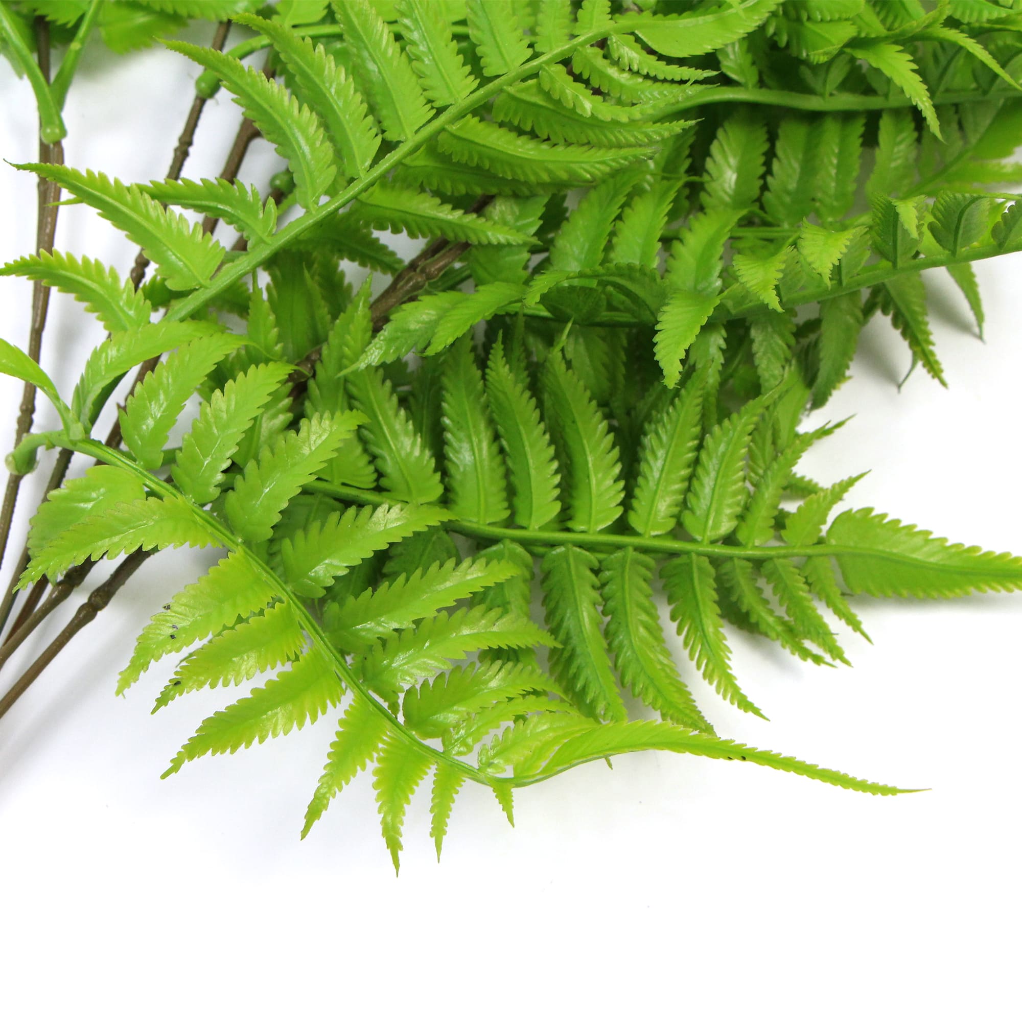 Artificial Hanging English Fern (Two-Tone) Foliage UV Resistant 80cm - Designer Vertical Gardens fake plant stem Stems / Ferns
