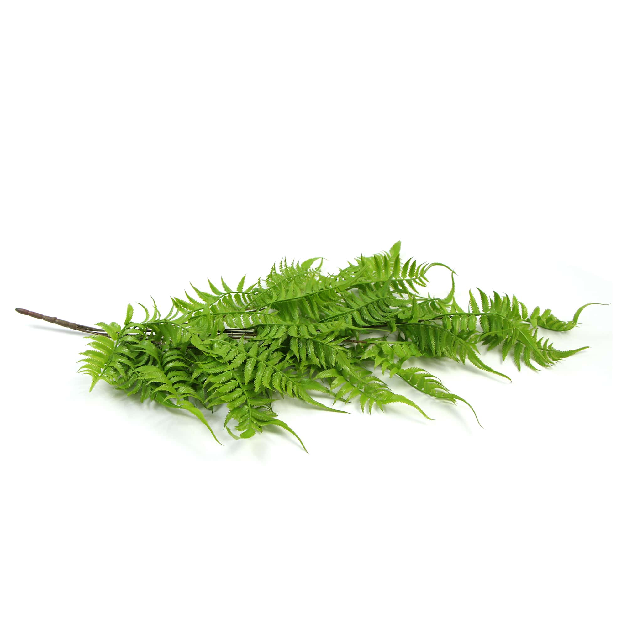 Artificial Hanging English Fern (Two-Tone) Foliage UV Resistant 80cm - Designer Vertical Gardens fake plant stem Stems / Ferns