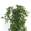 Load image into Gallery viewer, Artificial Hanging Flowering Ruscus Leaf Plant UV Resistant 130cm - Designer Vertical Gardens fake plant stem hanging fern