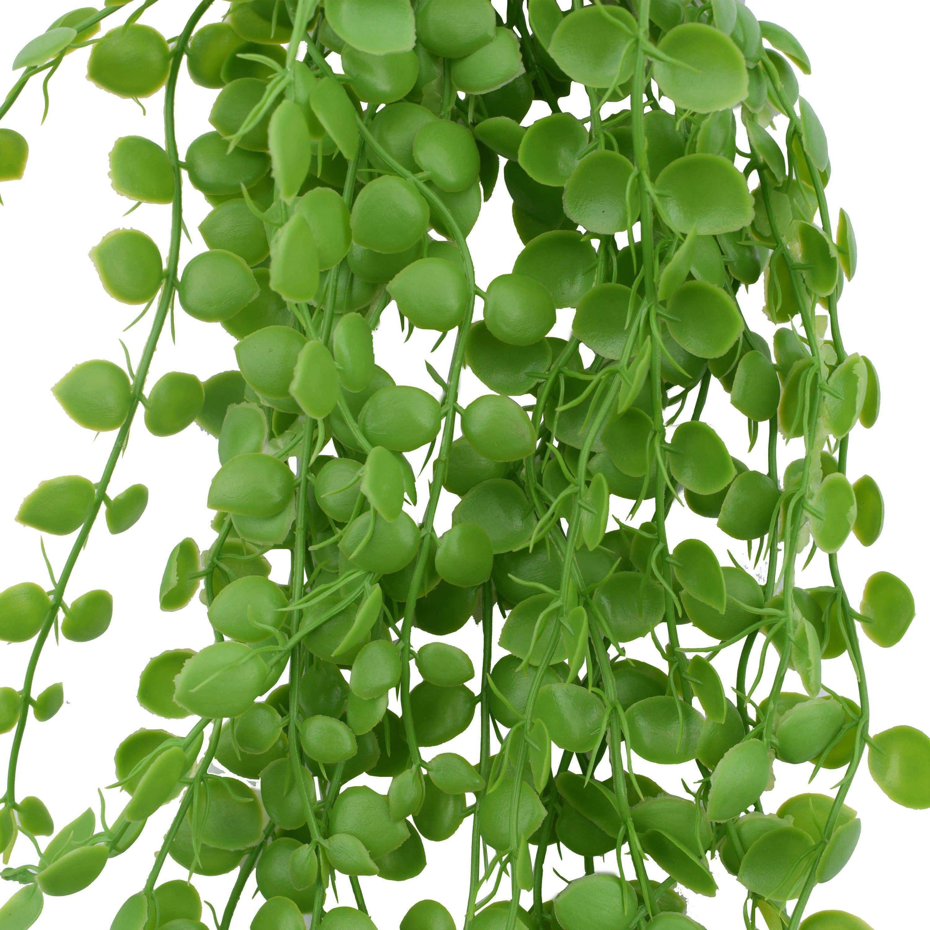 Artificial Hanging Pearls 90cm - Designer Vertical Gardens artificial garden wall plants artificial green wall australia