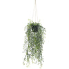 Artificial Hanging Pearls (Potted) 56cm UV Resistant - Designer Vertical Gardens hanging fern