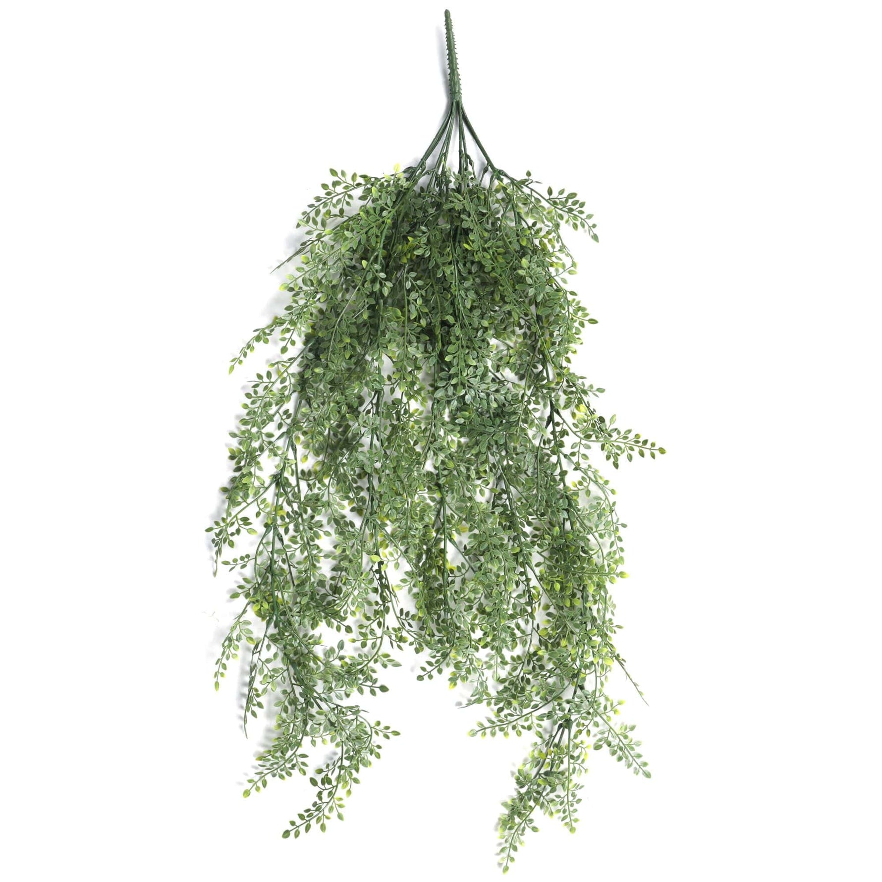 hanging plant looks like hair Artificial Hanging Plant (Maiden Hair Fern) UV Resistant 90cm – Designer Vertical Gardens