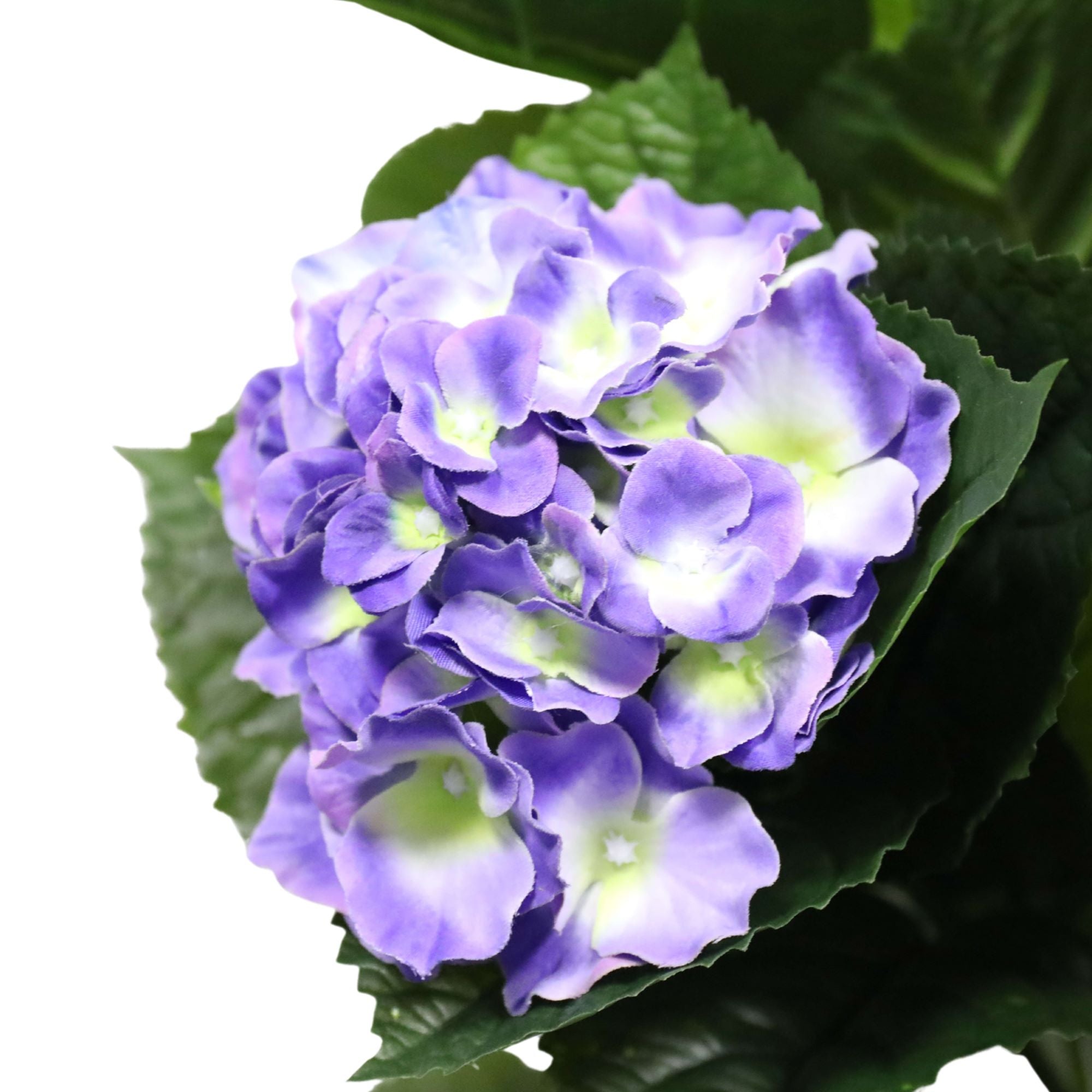 Artificial Hydrangea 74cm Potted (Mixed Purples and Yellows) - Designer Vertical Gardens Artificial Shrubs and Small plants Flowering plants