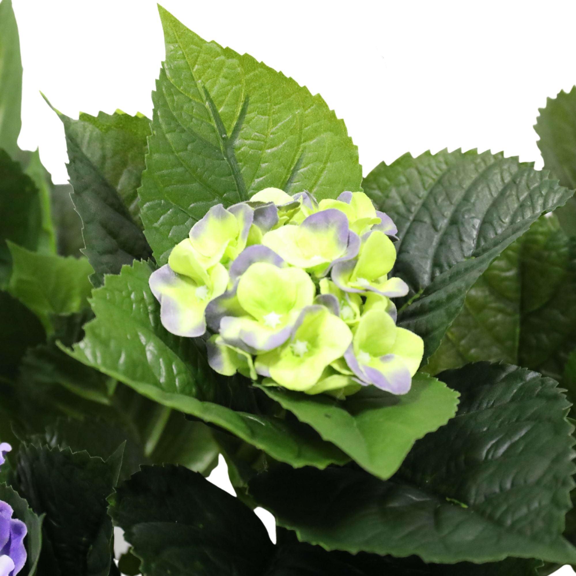 Artificial Hydrangea 74cm Potted (Mixed Purples and Yellows) - Designer Vertical Gardens Artificial Shrubs and Small plants Flowering plants