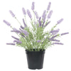 Artificial Lavender Plant in a Pot 40cm - Designer Vertical Gardens artificial vertical garden plants flowering