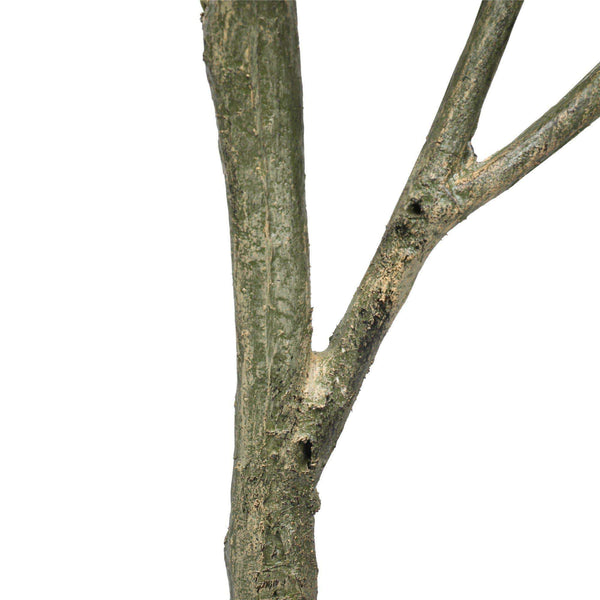 Artificial Lemon Tree (Potted) with Lemons 150cm - image 4