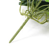 Artificial Monstera Adansonii Plant 50cm - Designer Vertical Gardens hanging plants Stems / Ferns