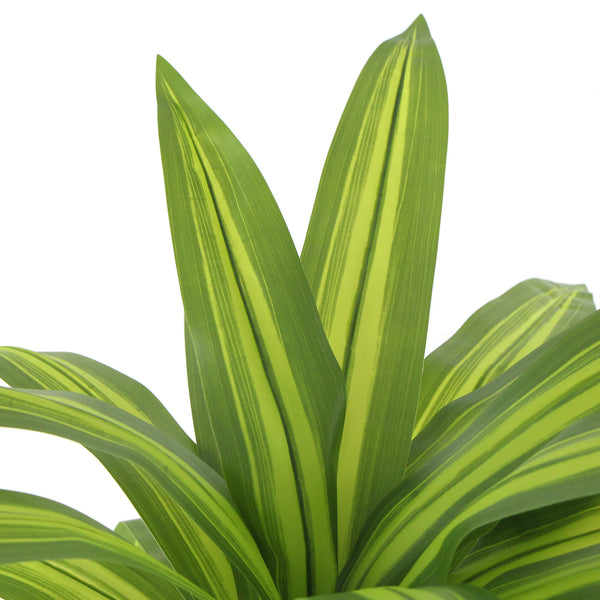 Artificial Multi Head Dracaena Tree With Mixed Green Leaves (Real Touch) 130cm