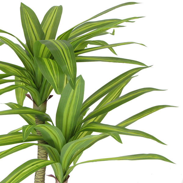 Artificial Multi Head Dracaena Tree With Mixed Green Leaves (Real Touch) 130cm