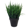 Artificial Ornamental Potted Dense Green Grass UV Resistant 30cm (Overstock Clearance) - Designer Vertical Gardens Artificial Shrubs and Small plants Office and House plants