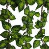Load image into Gallery viewer, Artificial Pothos Vines / Ivy Hanging Vines 260cm Each (5 pack) - Designer Vertical Gardens artificial ivy wall fake ivy wall
