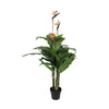 Artificial Potted 150cm Bird Of Paradise Plant-Orange - Designer Vertical Gardens Flowering plants
