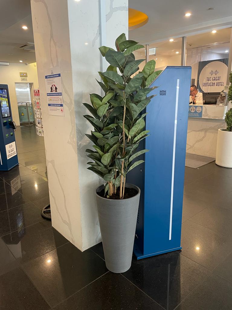 Artificial Potted Rubber Ficus Tree 180cm - Designer Vertical Gardens Artificial Trees for Commercial Properties Artificial Trees for Events