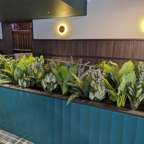 Artificial Potted Taro Plant / Elephant Ear 70cm - image 4