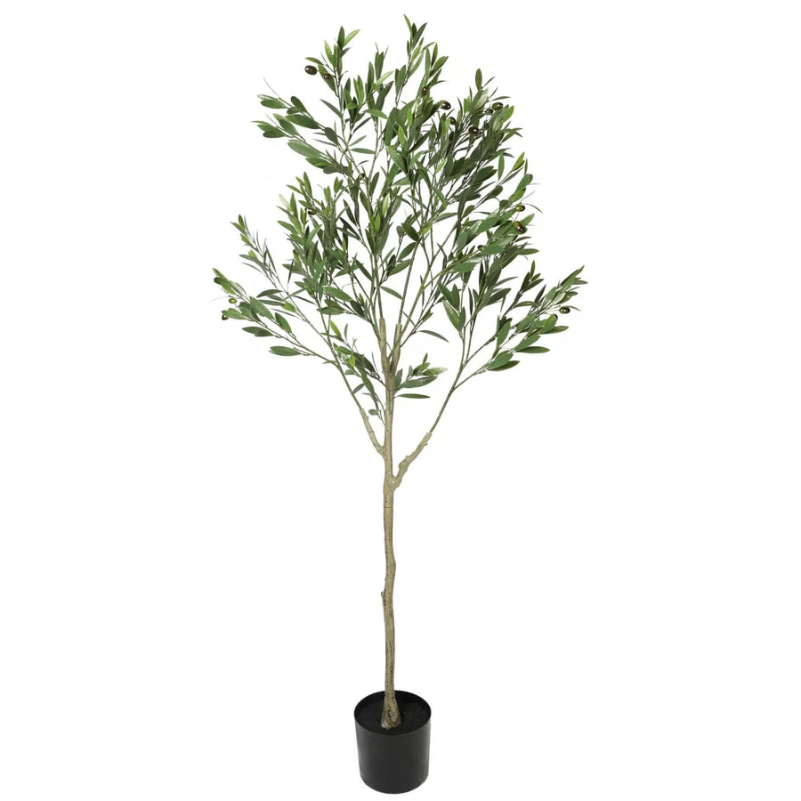 Artificial Potted UV Resistant Nearly Natural Olive Plant 150cm — UV resistant artificial plant by Designer Vertical Gardens