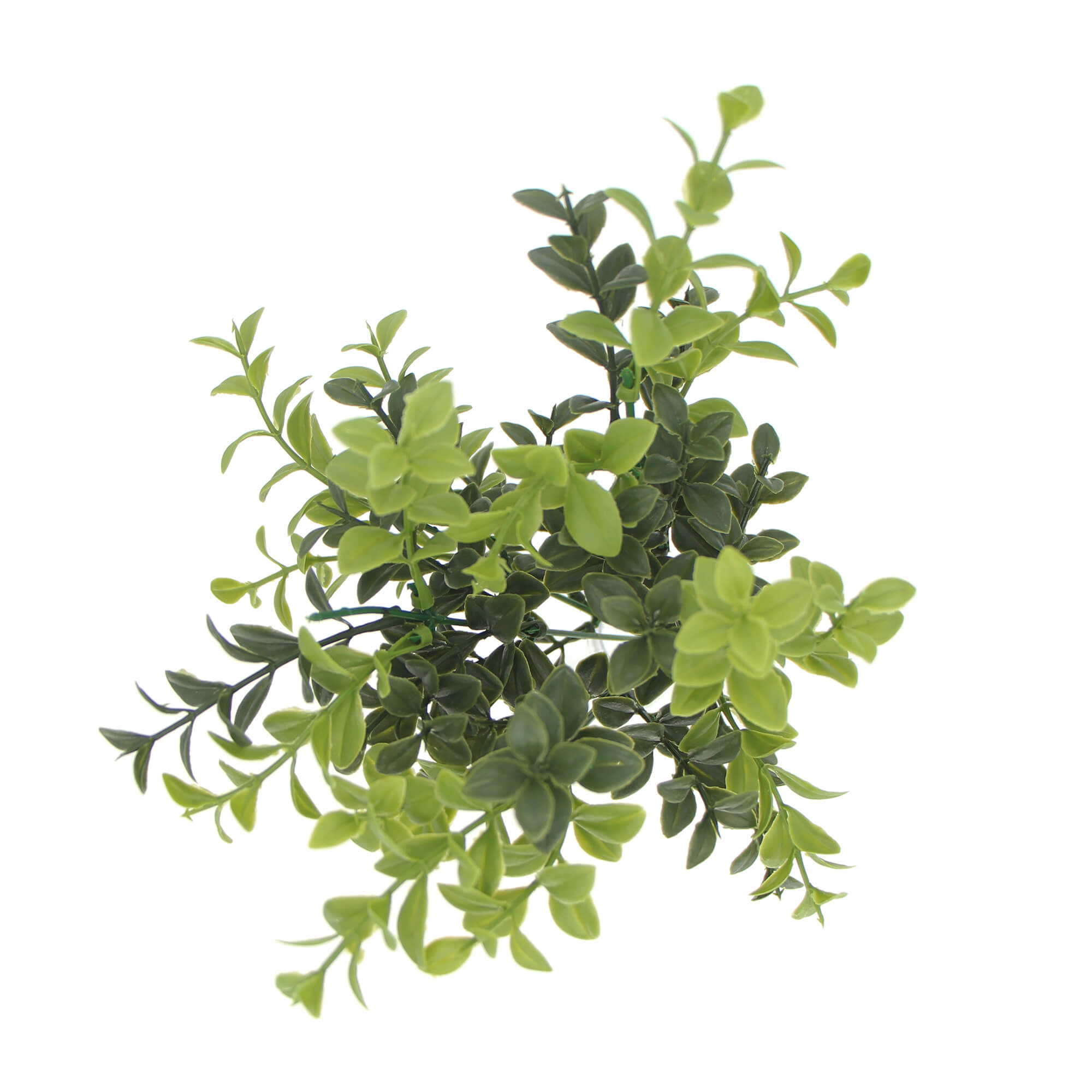 Artificial Rounded Boxwood Stem UV 30cm - Designer Vertical Gardens fake plant stem Stems / Ferns