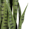 Artificial Snake Plant Sansevieria UV Resistant 85cm - Designer Vertical Gardens Artificial Shrubs and Small plants snake plant