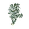 Artificial Hanging White & Green Monstera Albo Variegata 45cm
