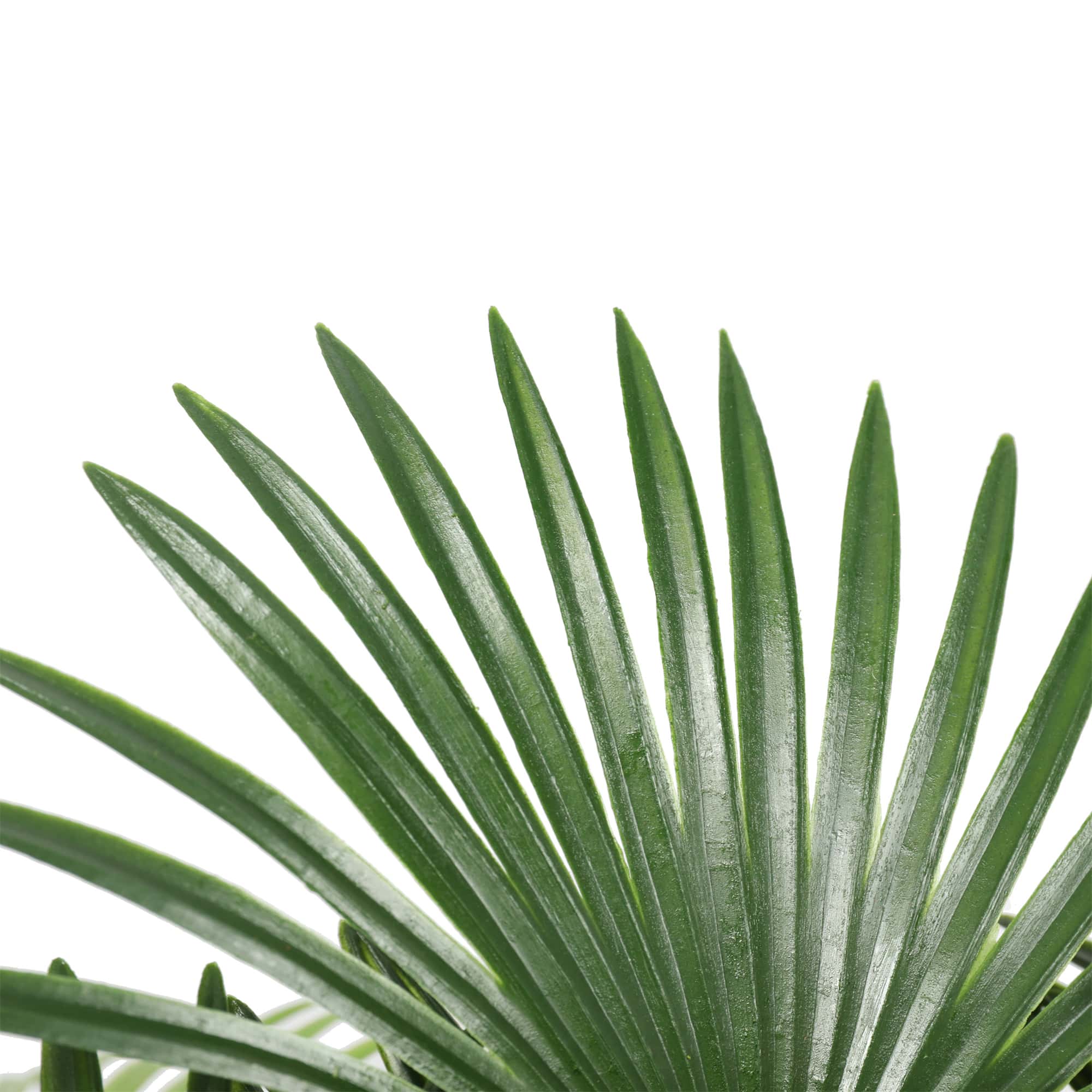 Artificial Wide Leaf Fan Palm Tree 90cm - Designer Vertical Gardens Artificial Trees Bamboos and Palm