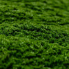 Load image into Gallery viewer, Dark Natural Green Artificial Moss Vertical Garden / Green Wall UV Resistant 1m x 1m - Designer Vertical Gardens artificial garden wall plants artificial green wall australia