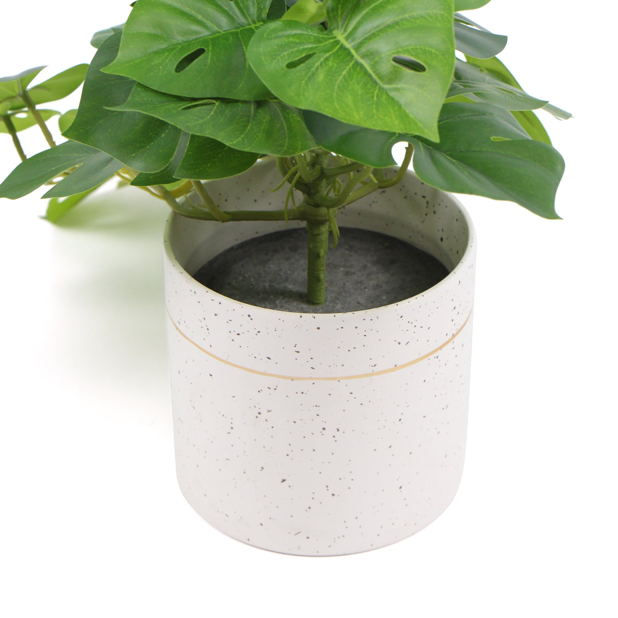 Decorative Ceramic Bowl Potted Artificial Monstera Plant 30cm - Designer Vertical Gardens Artificial Shrubs and Small plants