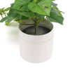 Decorative Ceramic Bowl Potted Artificial Monstera Plant 30cm - Designer Vertical Gardens Artificial Shrubs and Small plants
