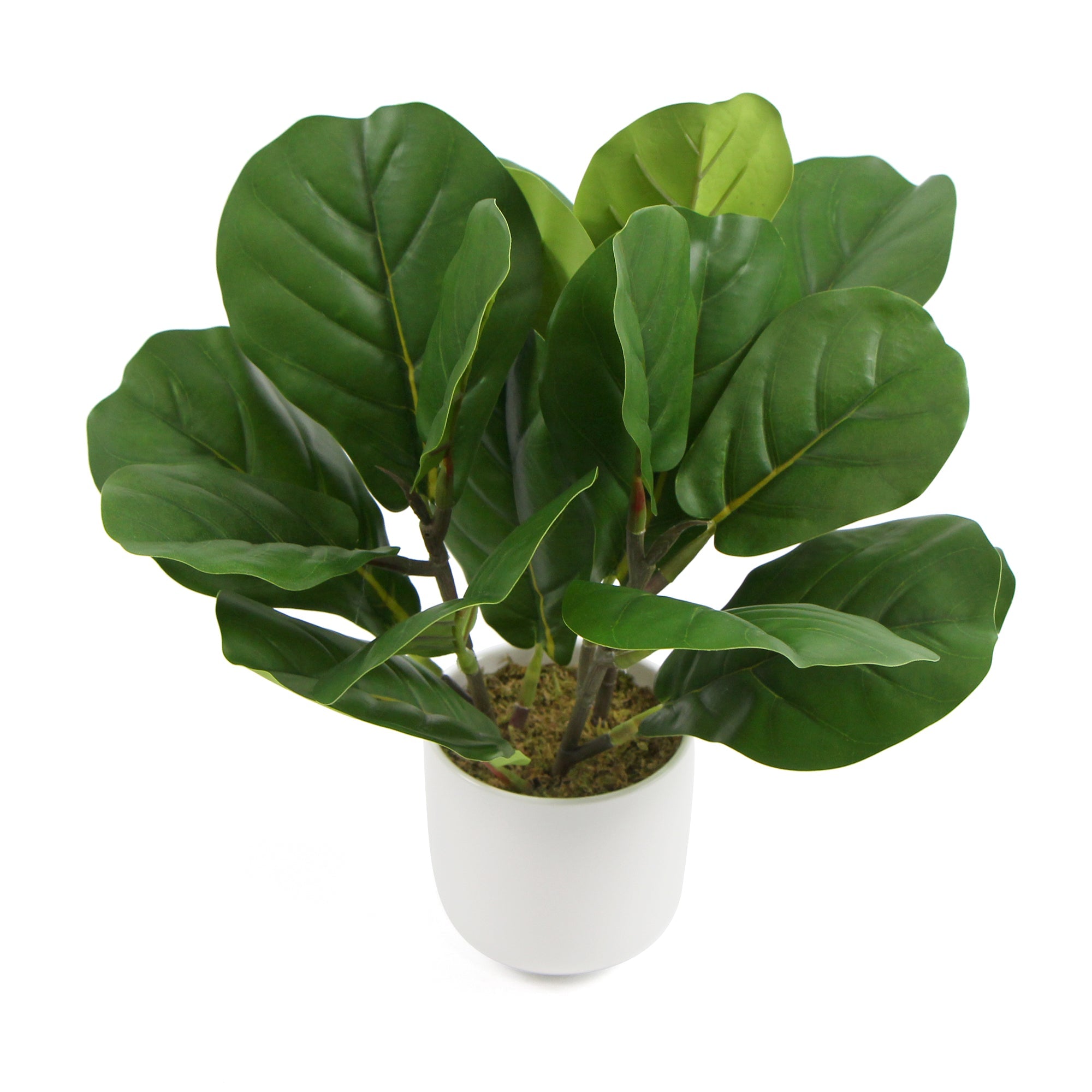 Decorative Potted Dense Artificial Fiddle Leaf Fig In Beautiful Decorative Bowl 37cm - Designer Vertical Gardens artificial shrubs Artificial Shrubs and Small plants