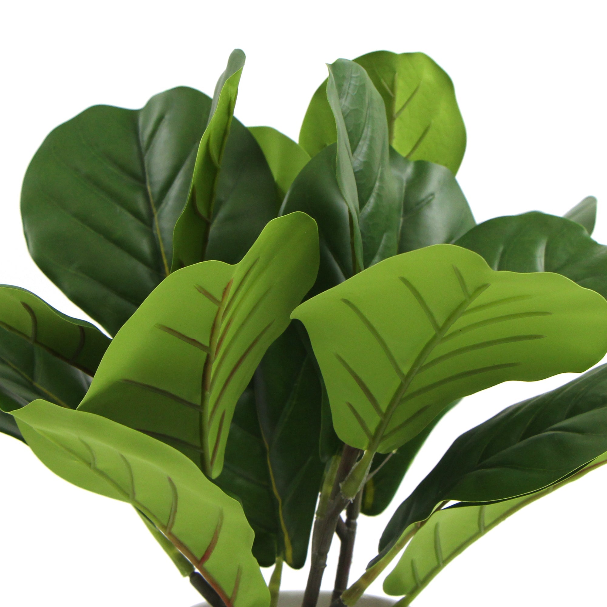 Decorative Potted Dense Artificial Fiddle Leaf Fig In Beautiful Decorative Bowl 37cm - Designer Vertical Gardens artificial shrubs Artificial Shrubs and Small plants