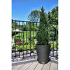 Decorative Textured Round Black Planter 47cm - Designer Vertical Gardens Pots
