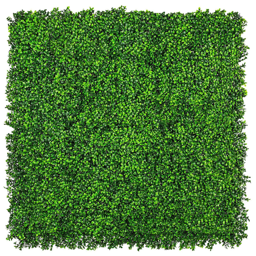 Dense Buxus Artificial Hedge Tile 1m x 1m - UV Certified — UV resistant artificial plant by Designer Vertical Gardens