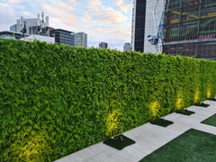 Dense Fern Artificial Green Wall 1m x 1m - UVTEX Certified UV Resistant